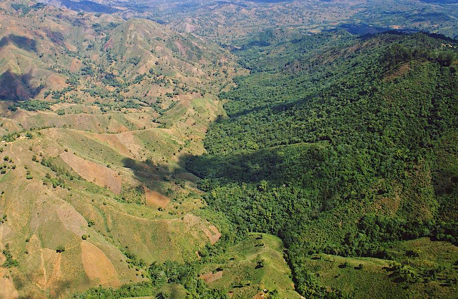 Почему на западе острова Гаити лес не растет, а на востоке густые тропики