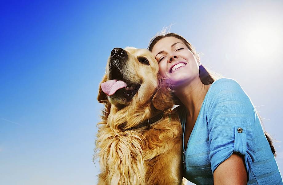 Почему владельцы собак живут дольше и меньше болеют