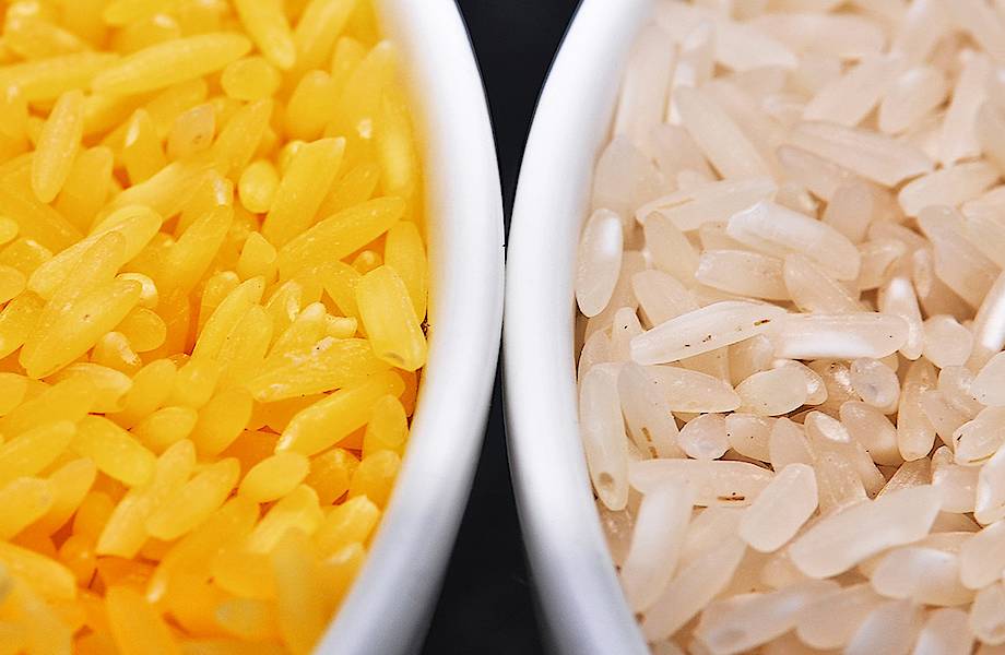 Золотой рис: для чего генетики вывели необычный рис, и почему проект провалился