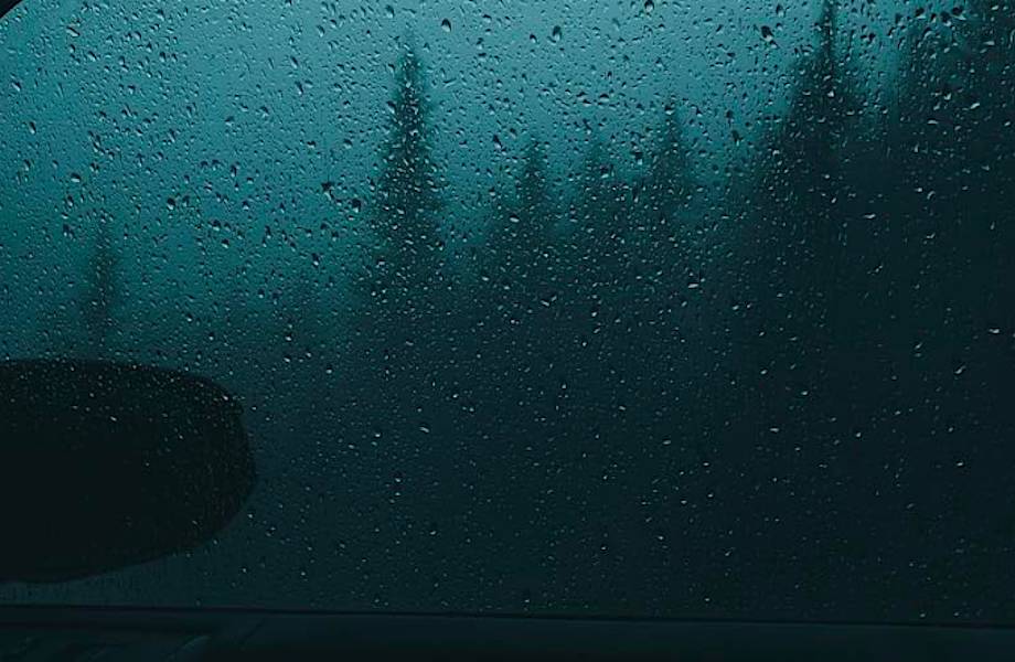 Мрачные, атмосферные и таинственные фото лесов от Дилана Фёрста