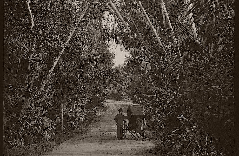 До Marina Bay и лучшего в мире аэропорта: Сингапур XIX века на старинных фотографиях