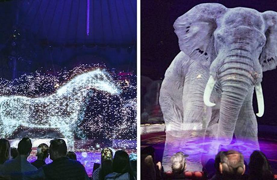 В немецком цирке на арене вместо животных выступают голограммы