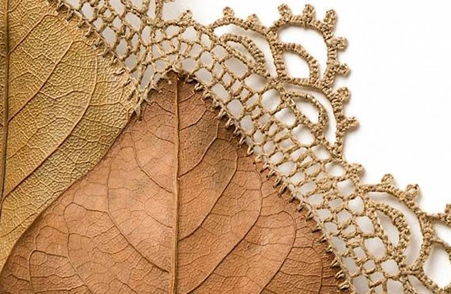 Художница делает невероятные произведения из хрупких осенних листьев и обычных ниток