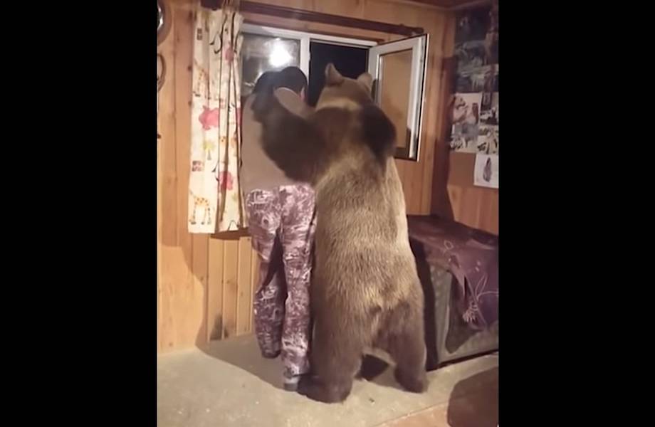 Видео: Медведь подошел к стоявшему у окна мужчине и по-дружески приобнял его