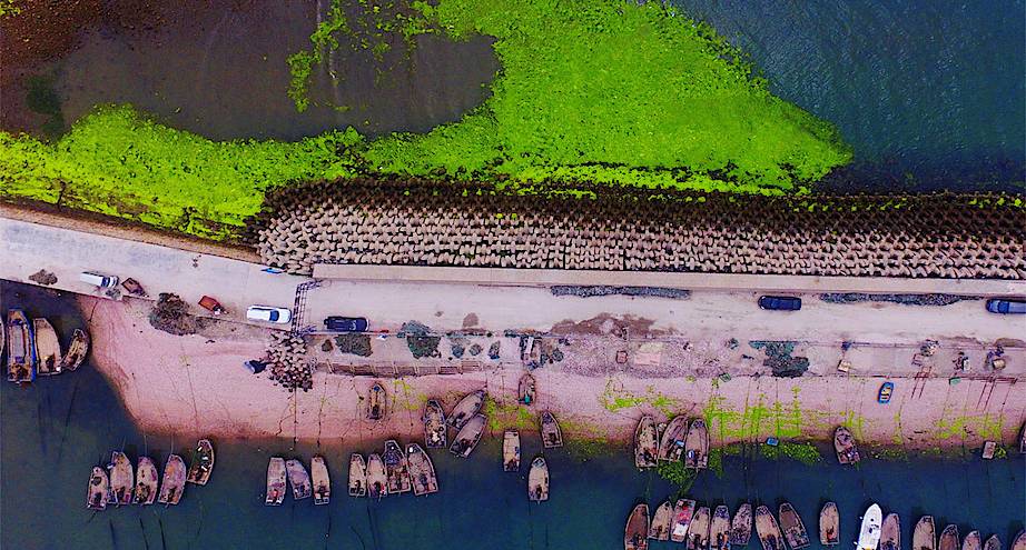 Фото дня: живописный берег китайского Циндао