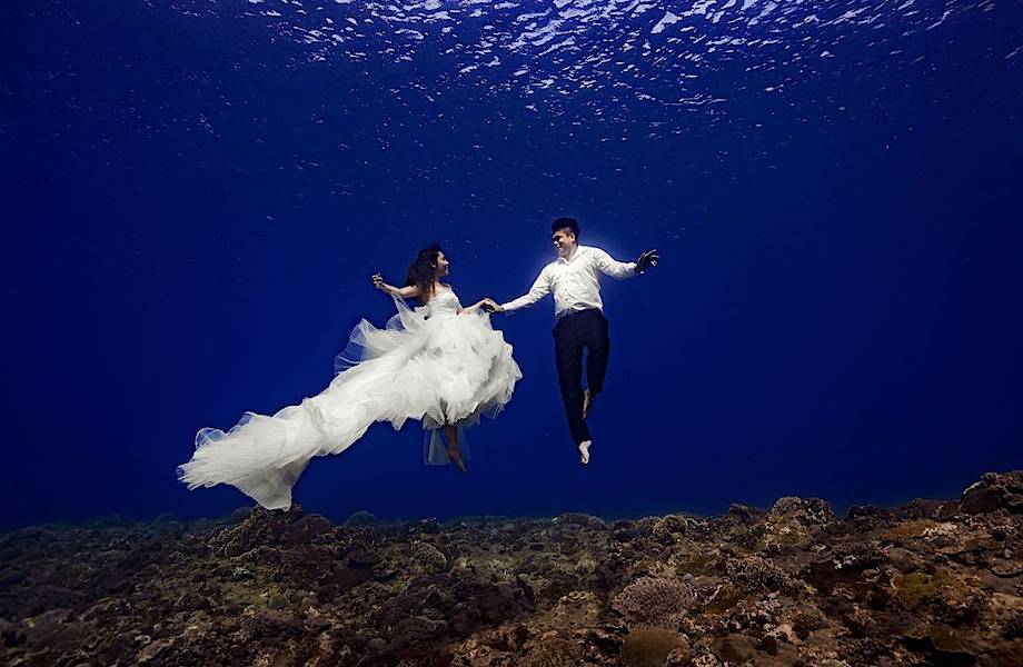 ​Как под водой свадьбу сыграли: пара устроила самую необычную свадебную фотосессию