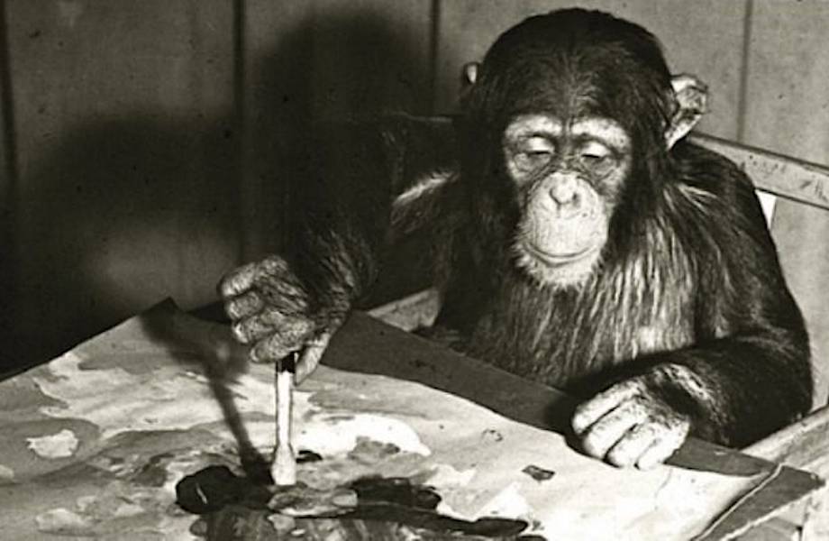Странный живописец: в Лондоне пройдет выставка картин, которые написал шимпанзе