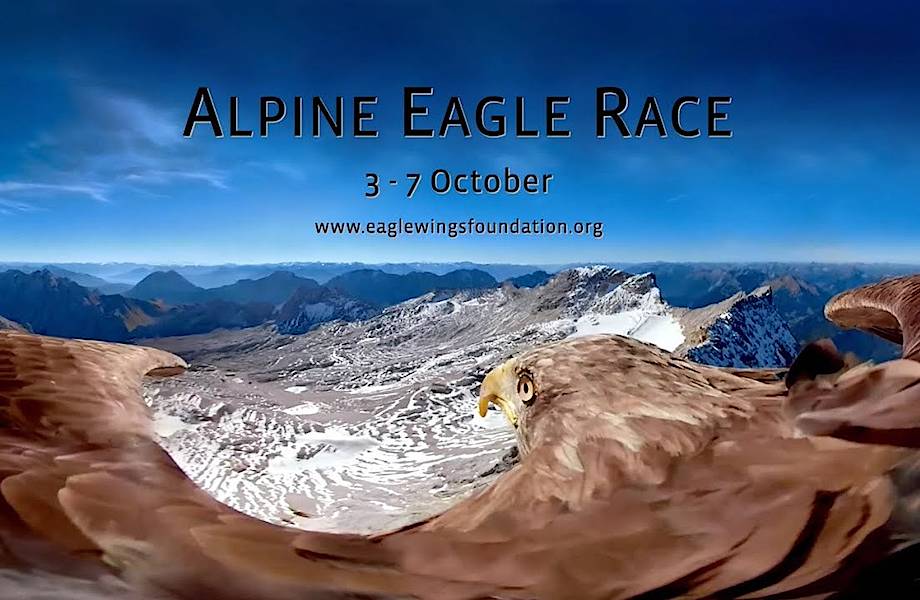 Орел снял на видео тающие альпийские ледники