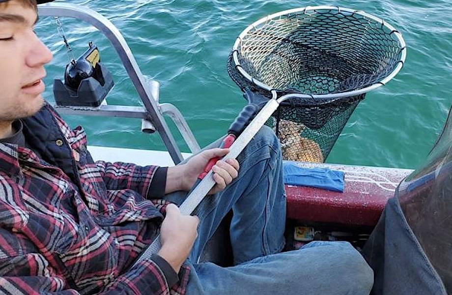 Видео: Рыбаки в Монтане вытащили очень необычный улов — канадскую рысь	
