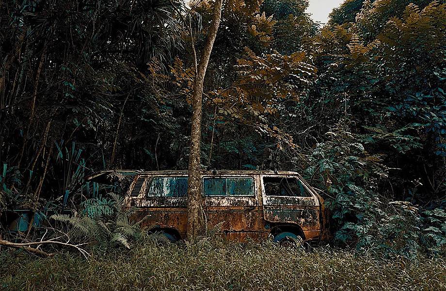 Фотограф запечатлел замечательные кадры брошенных авто, поглощенных джунглями Гавайев
