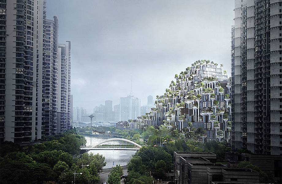 Уникальный шанхайский проект «1000 деревьев» превратит район мегаполиса в оазис 