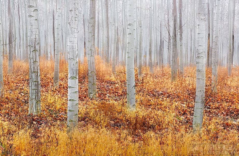 Фотограф природы показал свои любимые места для съемки восхитительных пейзажей