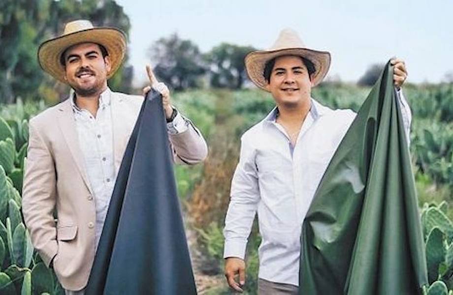 Двое мексиканцев создают «кожу» из кактусов, чтобы спасти животных и окружающую среду
