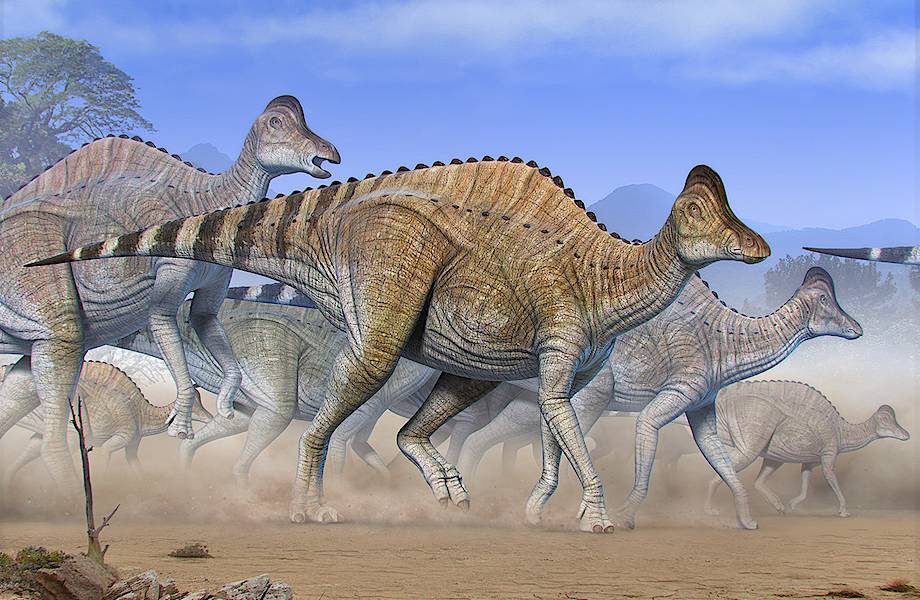 Можно ли воскресить динозавров: ученые объявили о находке сохранившихся фрагментов ДНК