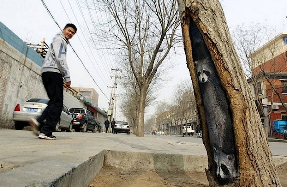 Китаянка поднимает настроение горожанам при помощи потрясающих рисунков на деревьях 