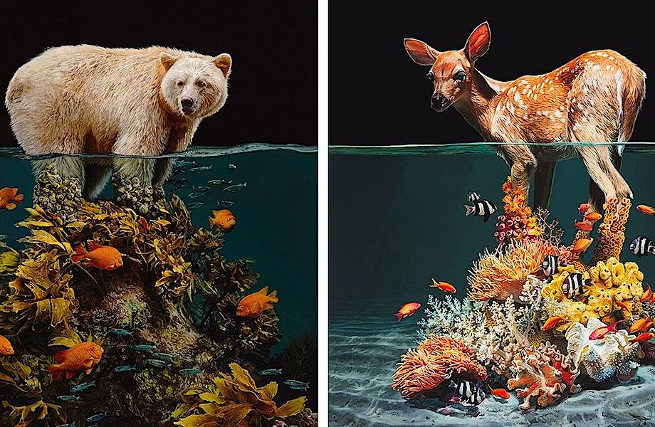 Художница изображает наземных животных, погруженных в поднимающуюся морскую воду