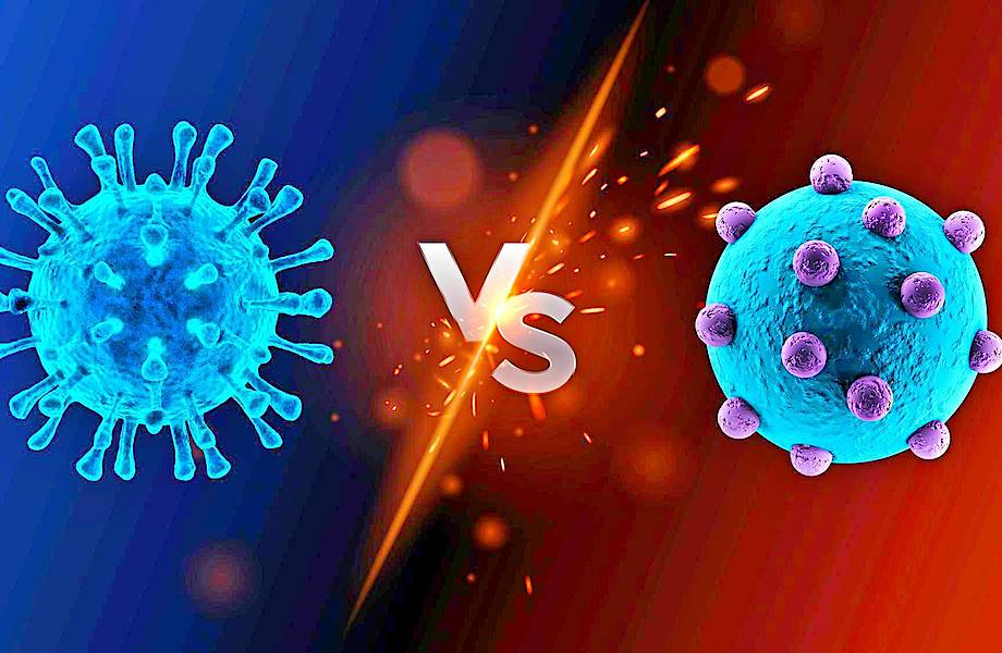 Вирус оказался странным гибридом: откуда все-таки взялся новый коронавирус