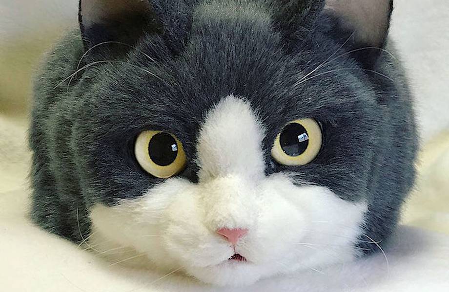 Японка создает безумные сумки в виде кошек