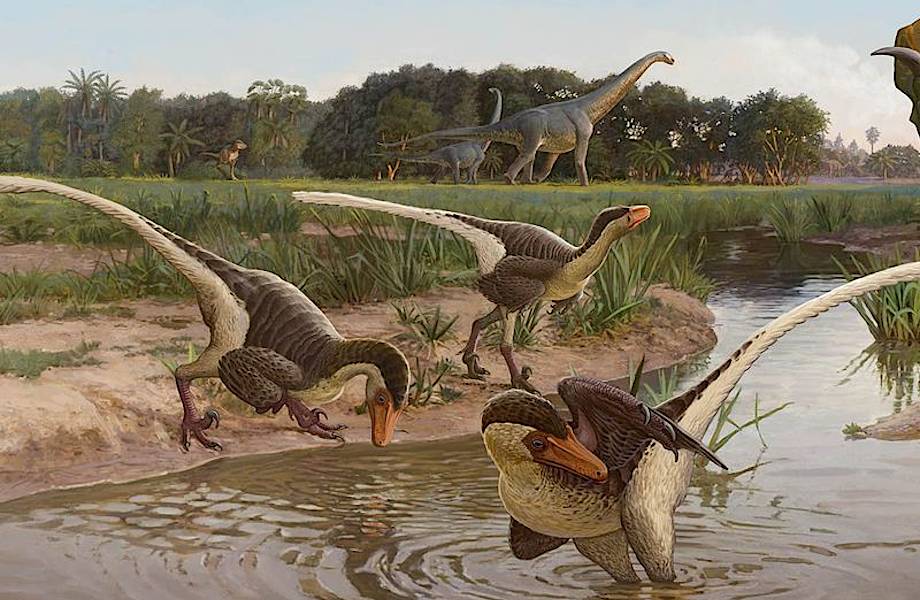В штате Нью-Мексико найдены останки плотоядного пернатого динозавра