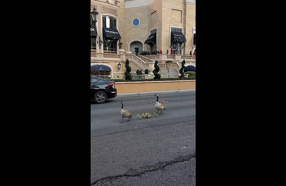 прошел мимо поправил патч