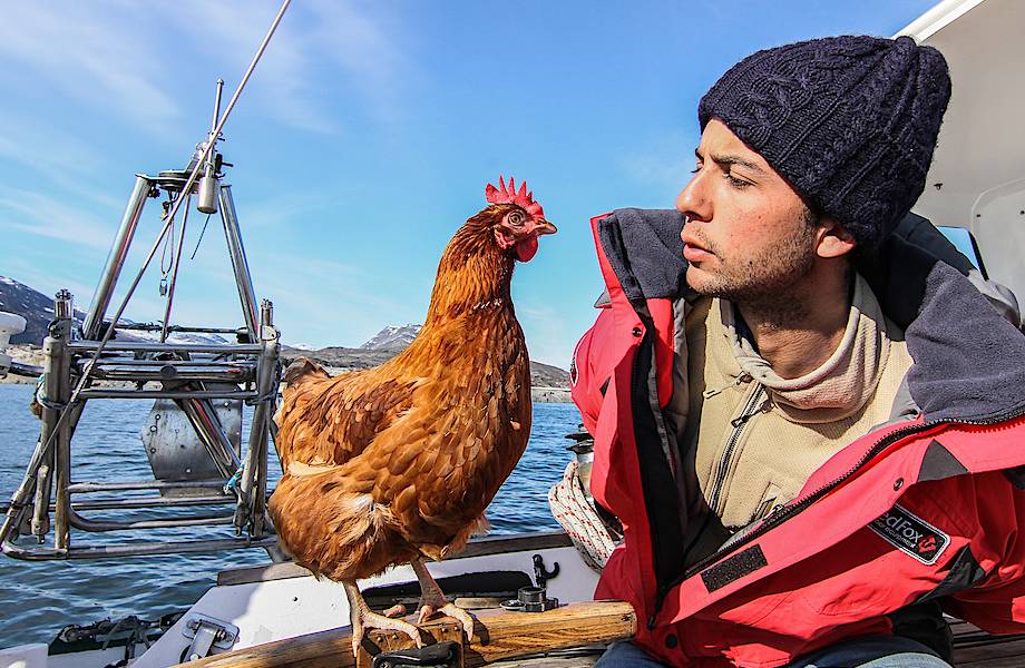 Потрясающая пара: француз путешествует на яхте со своей курицей