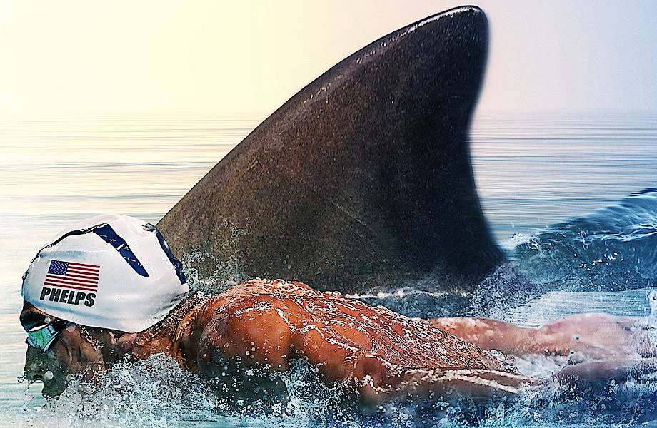 Кто быстрее — акулы или олимпийский чемпион по плаванию