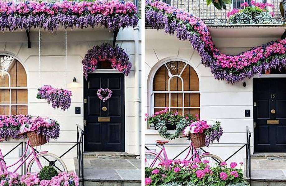 Женщина собрала десятки тысяч подписчиков, снимая самые живописные двери Лондона