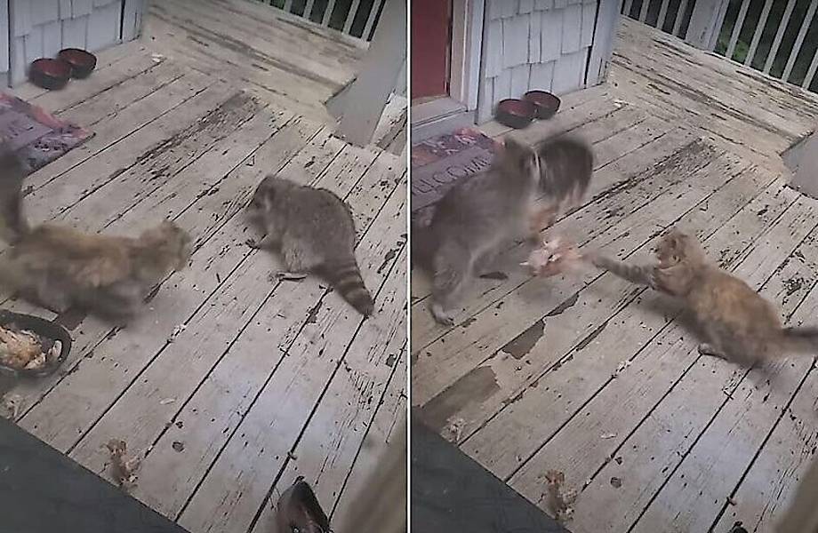 Как добраться