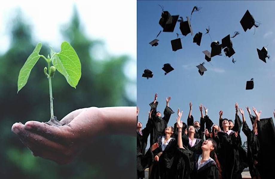 Каждый выпускник на Филиппинах должен посадить 10 деревьев
