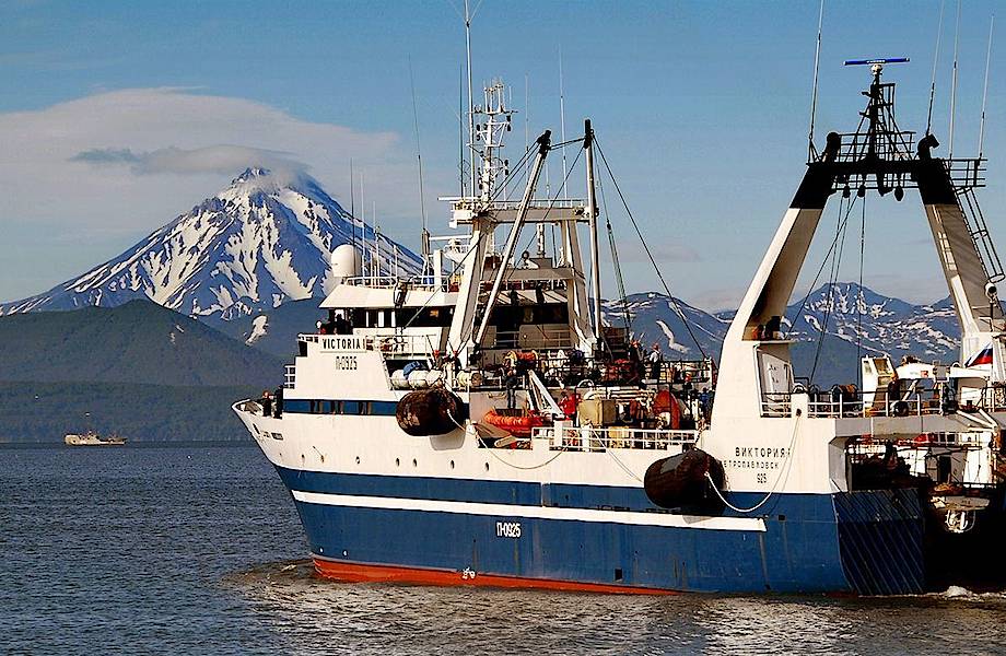Почему в Арктике запрещен промышленный лов рыбы 