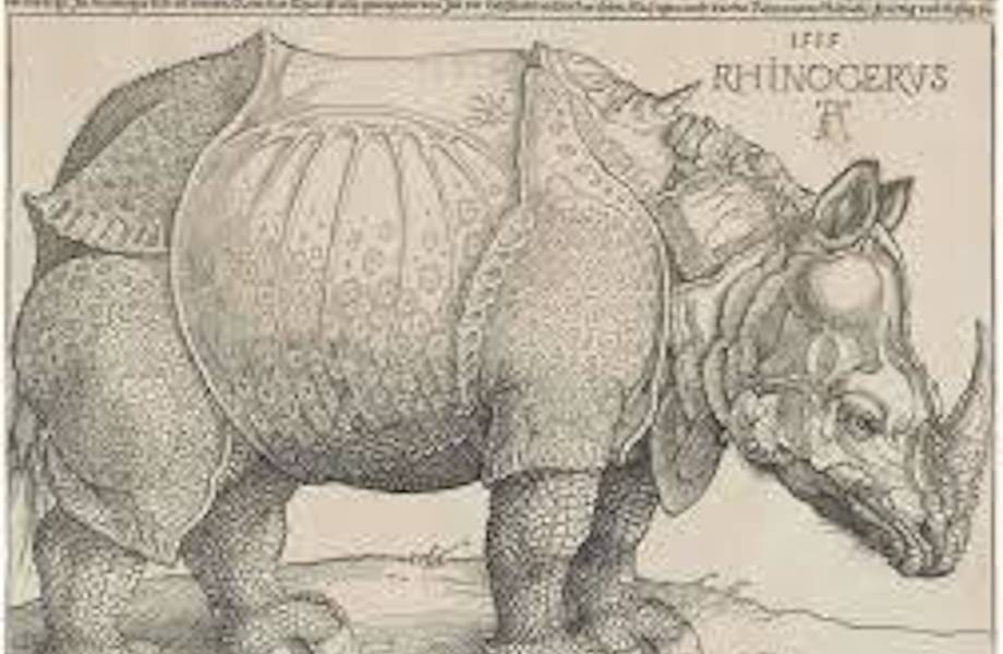 Средневековый художник неправильно нарисовал носорога, и в его рисунок верили столетия