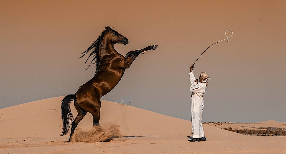 Фото дня: коневод занимается со своей лошадью