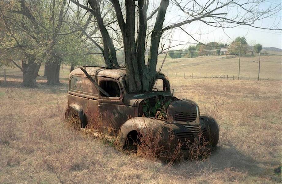 Как деревья взяли верх над машинами: 20 зеленых фото брошенных автомобилей