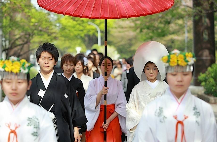 Японская свадьба сегодня: невеста прячет рожки, а гости поют в караоке
