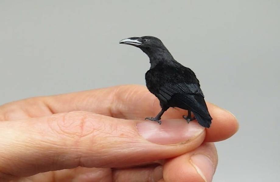 Мир в миниатюре: венгерская художница создает крошечные копии животных