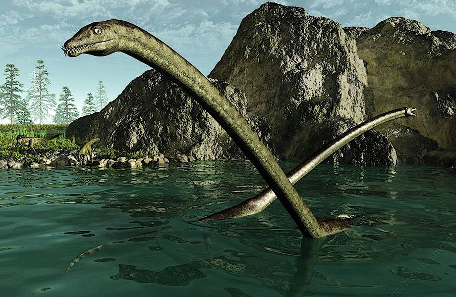Горе от шеи: стало известно, как и где выживали динозавры танистрофеи