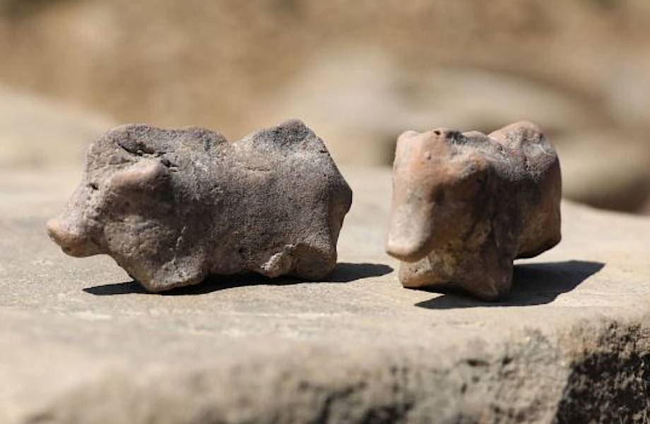 Как археологи обнаружили фигурки свиней в жилище, которому 3500 лет