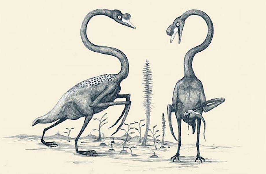 Рисунки животных на древний манер: иллюстрации по принципу изображения динозавров 