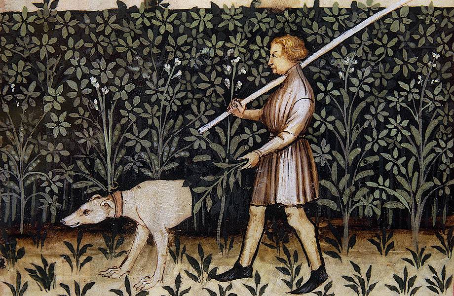 Как преданы своим собакам были средневековые люди: самый «собачий» период в истории