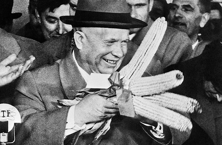 Кукурузная лихорадка в СССР: почему именно кукуруза должна была стать царицей полей