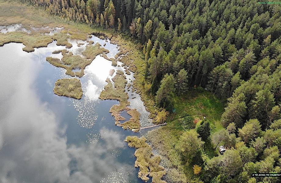 Загадочное озеро в Пермском крае, из вод которого будто виднеются верхушки деревьев