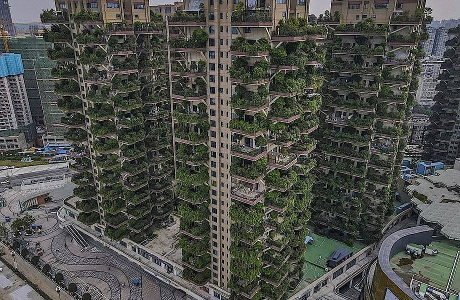 Жители китайского города боятся переезжать в зеленые дома-сады из-за полчищ комаров