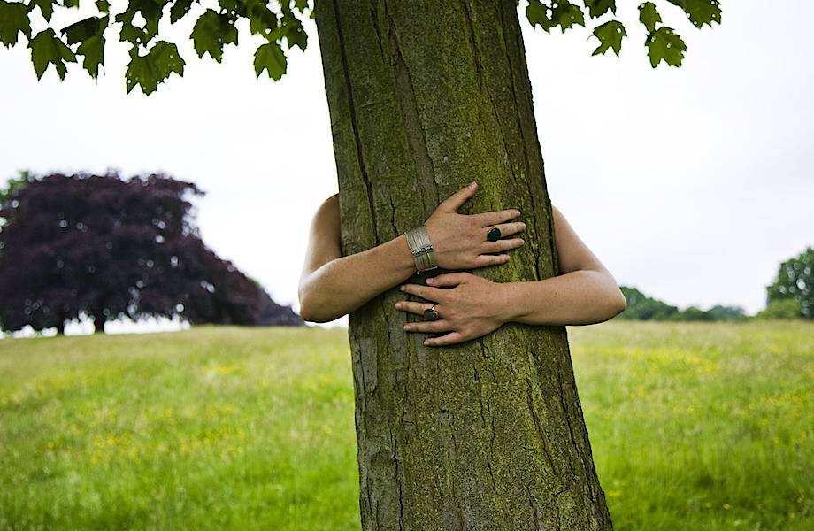 Американка попала в книгу рекордов Гиннесса, так как очень долго обнимала дерево