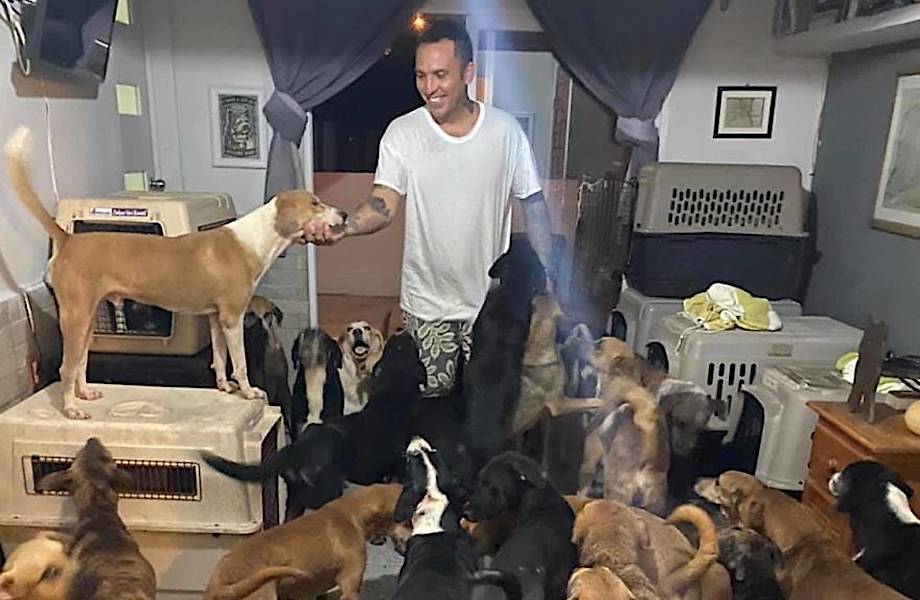 Мужчина спас от урагана больше трехсот животных, приютив их у себя дома