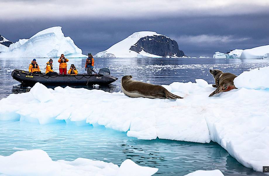 Путешествия будущего: на первый план выходит Антарктида