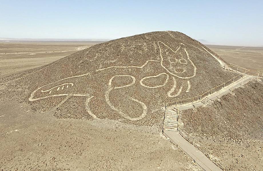 В Перу нашли геоглиф в виде гигантского кота