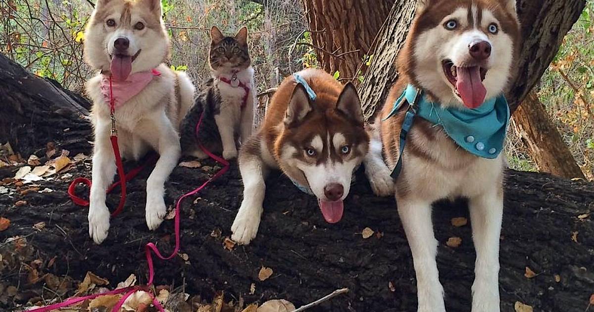 Дружба без границ