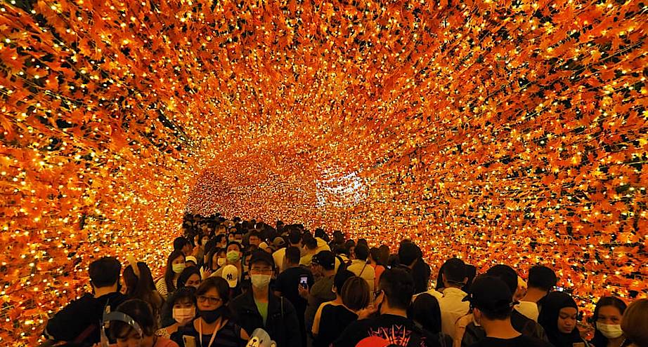 Фото дня: жители Тайбэя идут по туннелю «Кленовый лист»