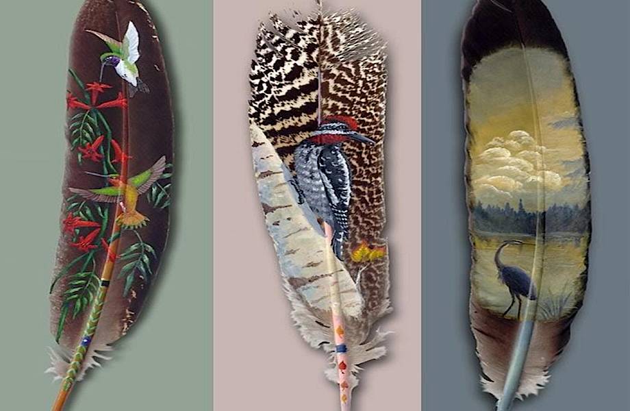 Как современные художники создают шедевры из птичьих перьев