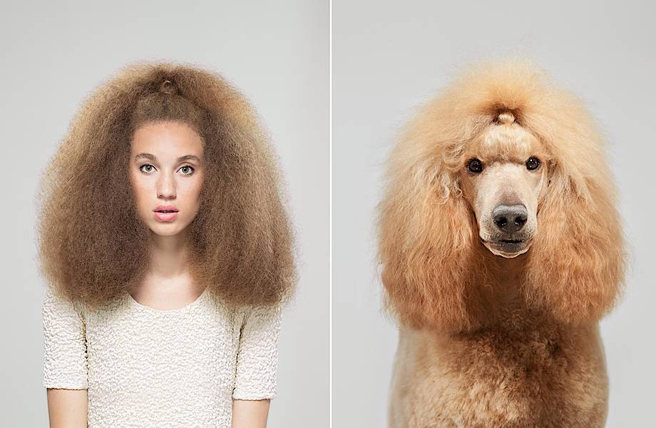 Необычный фотопроект британца, который показывает, насколько похожи собаки и хозяева